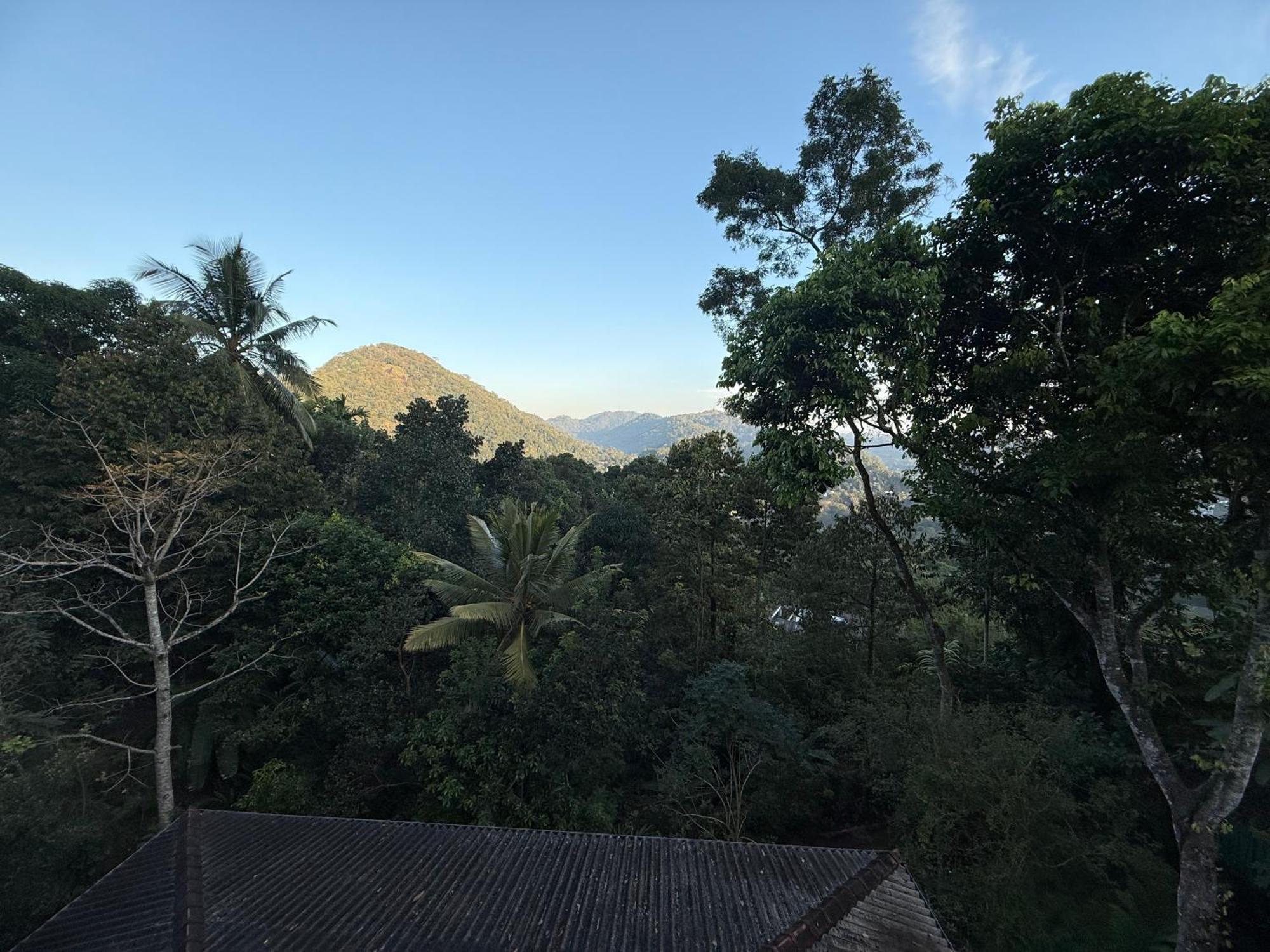 Araliya * Kandy