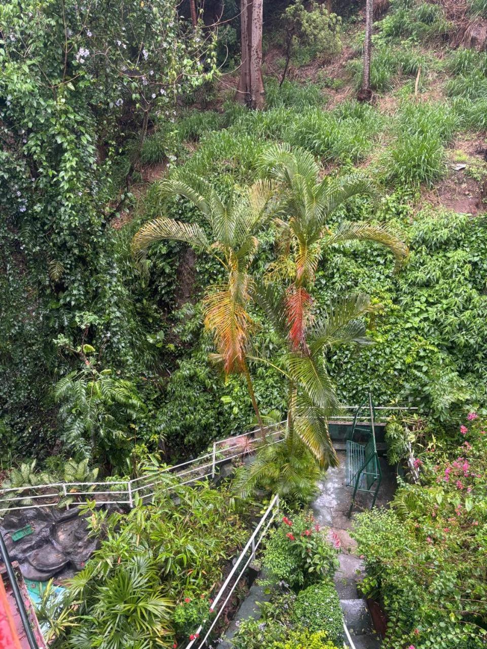 Creek Edge Kandy