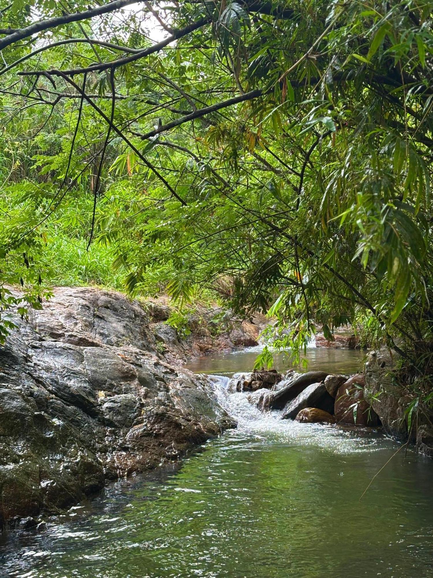 Villa Stream By Serendians