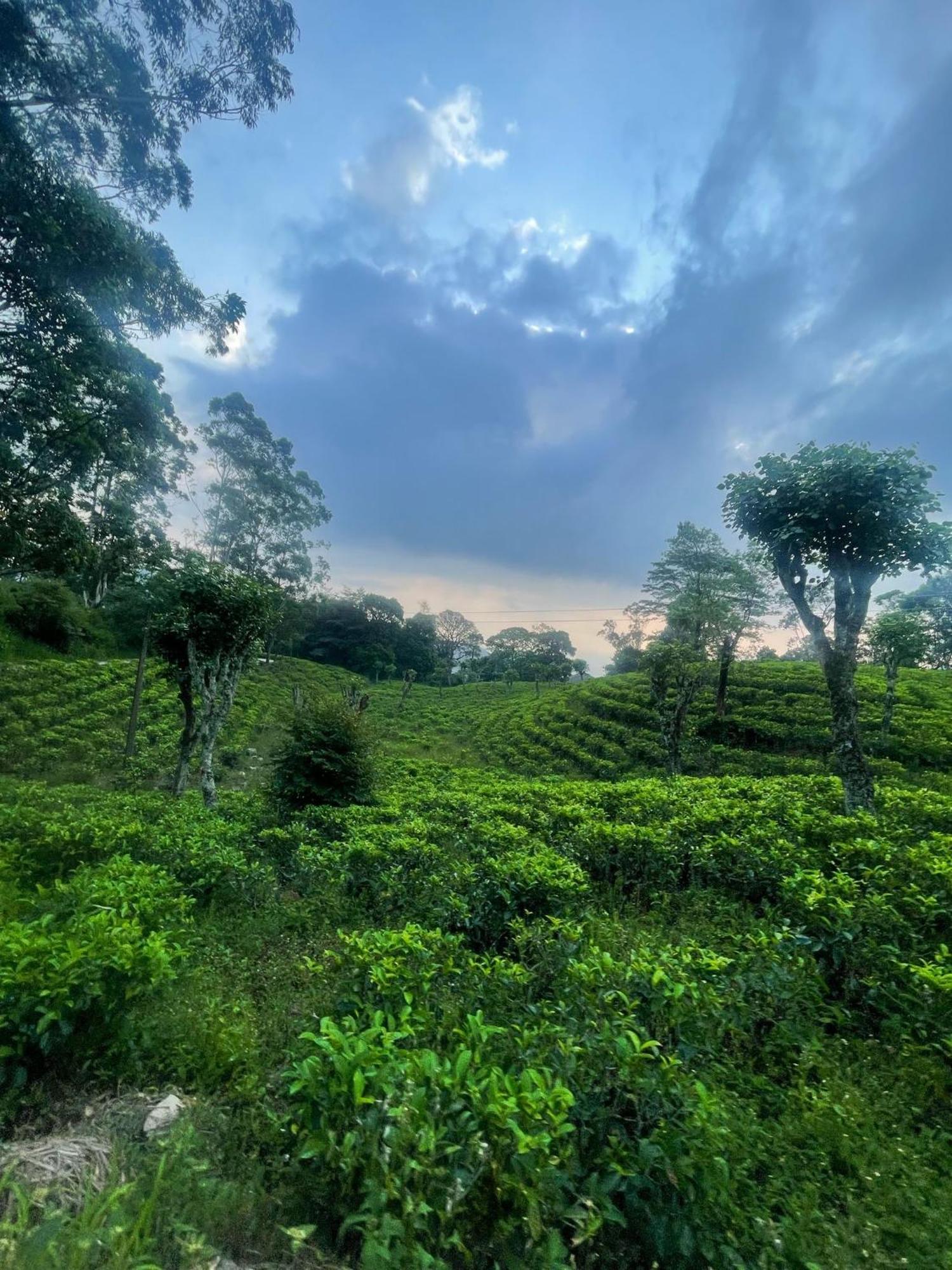 Lodge Avons Hanthana Kandy