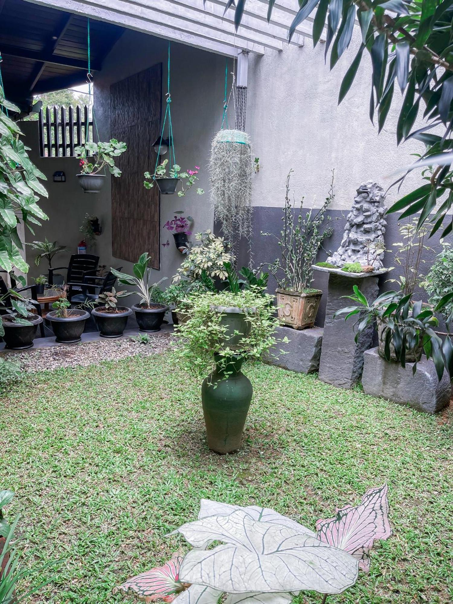Homestay Serenity Kandy