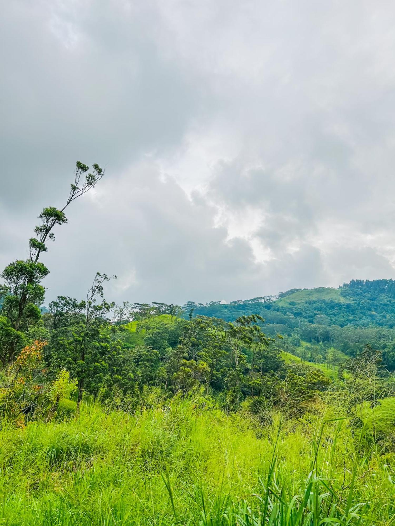 Hanthana Breeze Homestay *