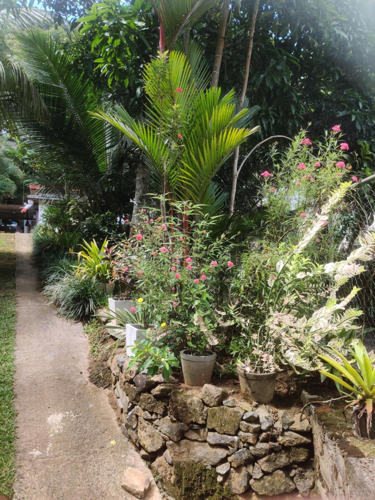 Fruit & Spice Garden Homestay
