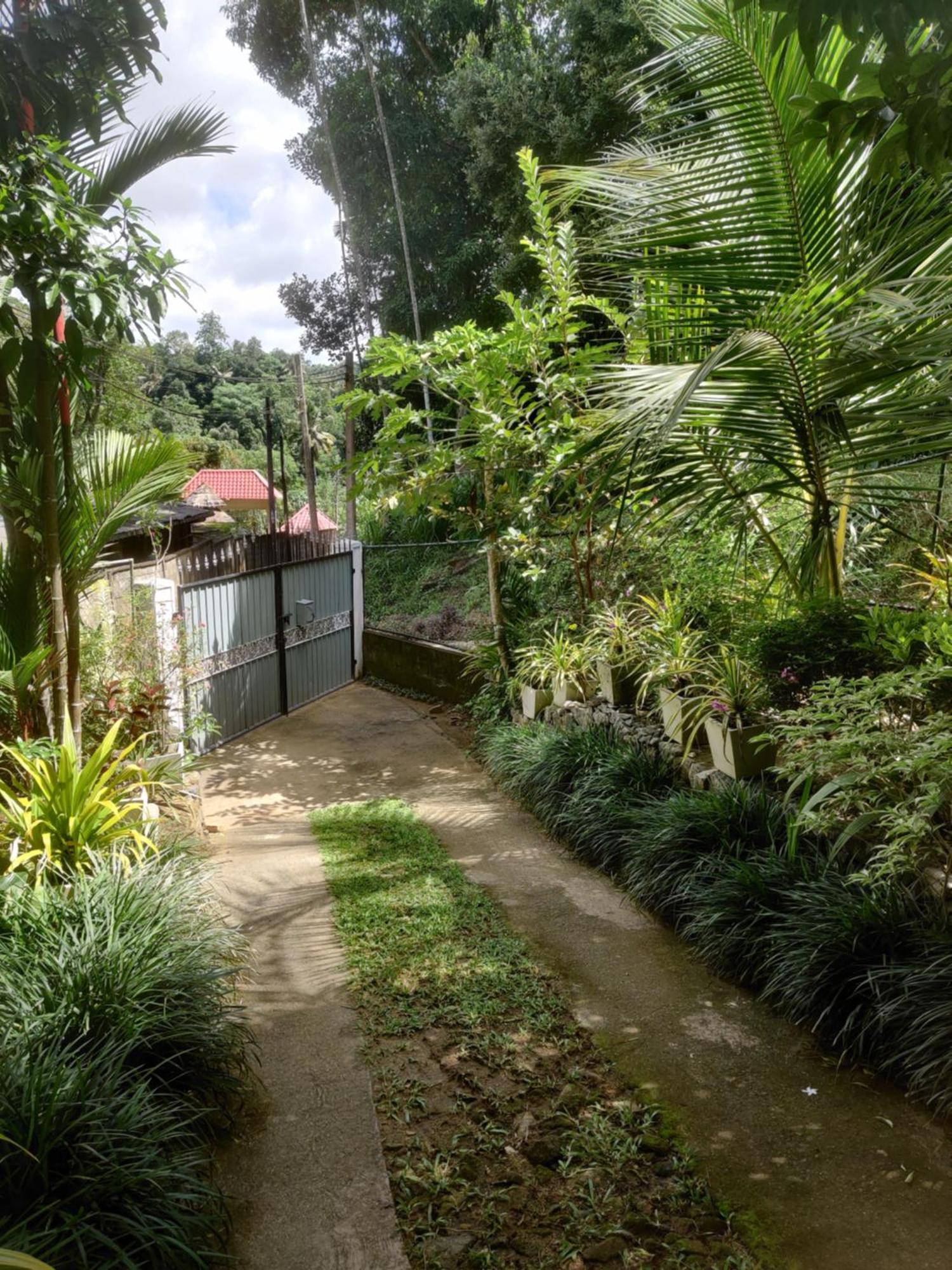 Homestay Fruit & Spice Garden