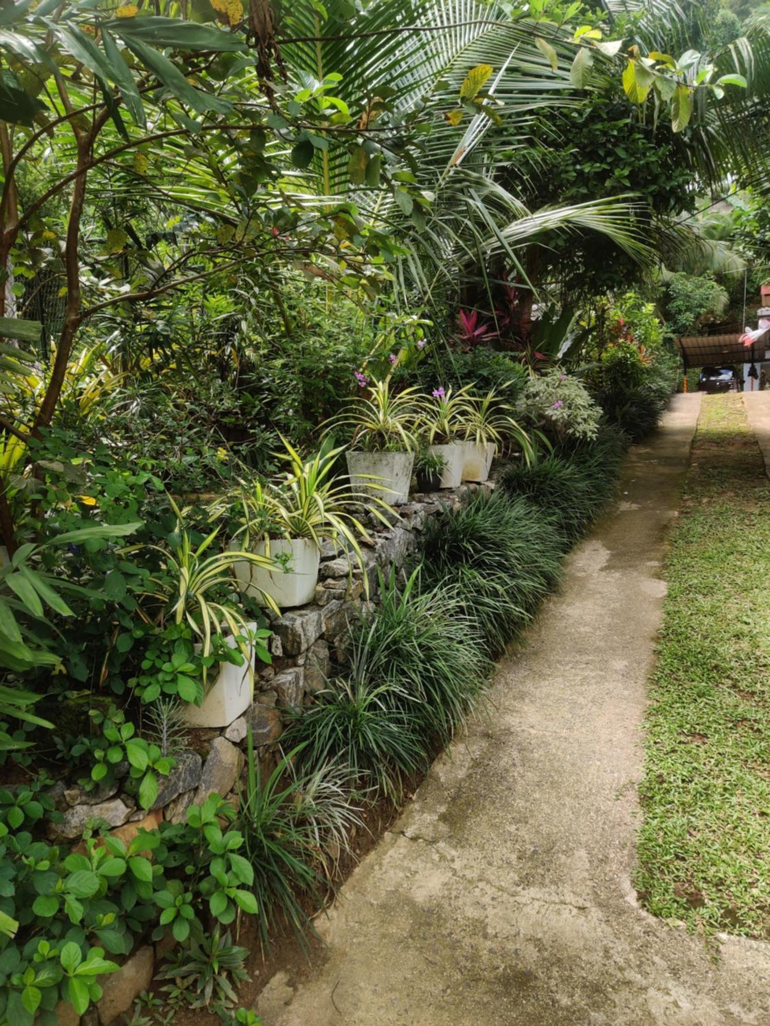 Fruit & Spice Garden * Kandy