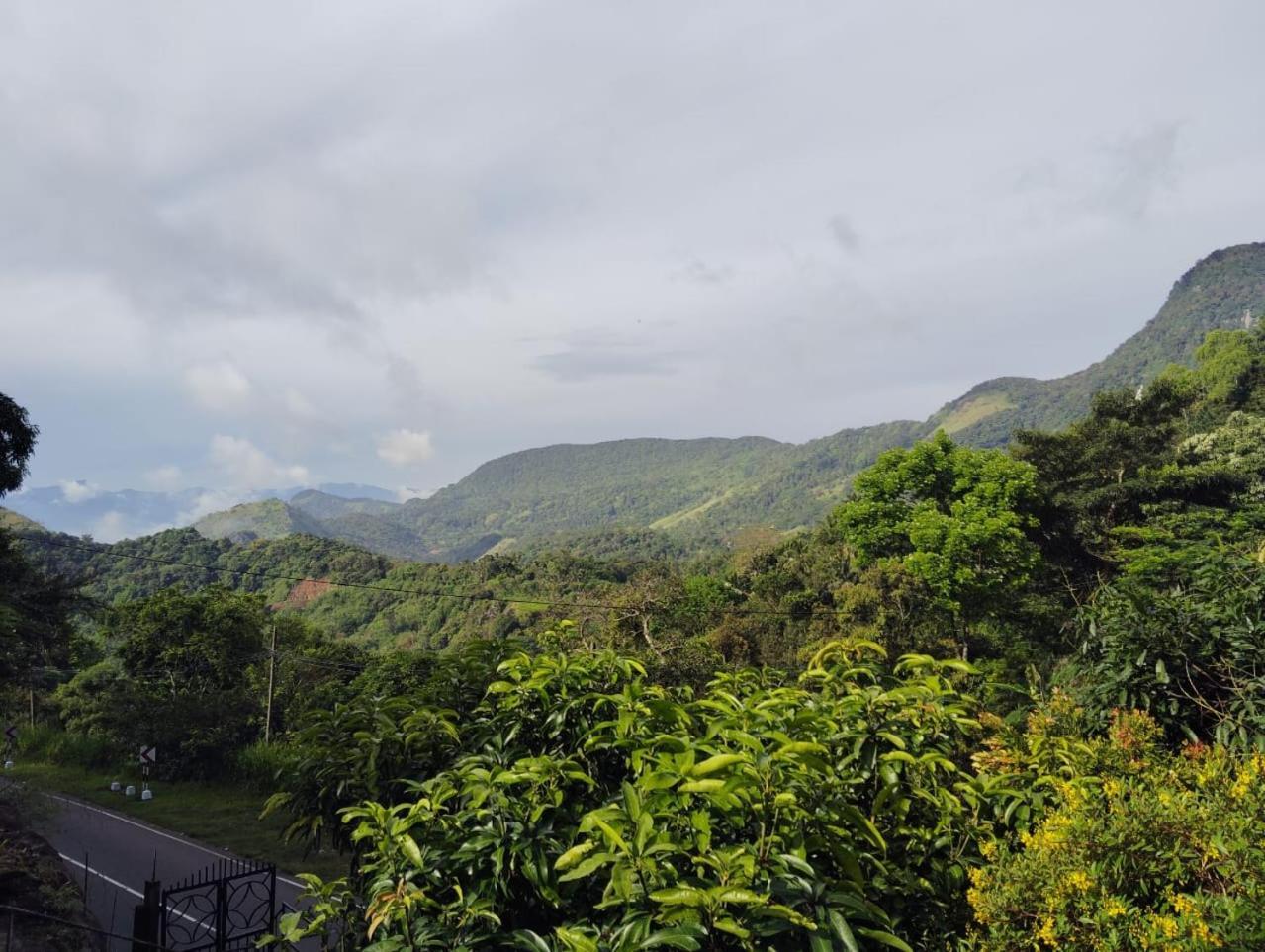 Knuckles Range Bunglow *