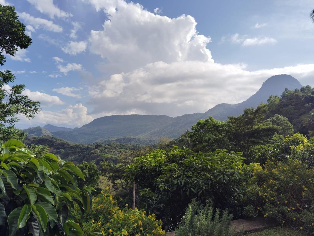 Homestay Knuckles Range Bunglow *