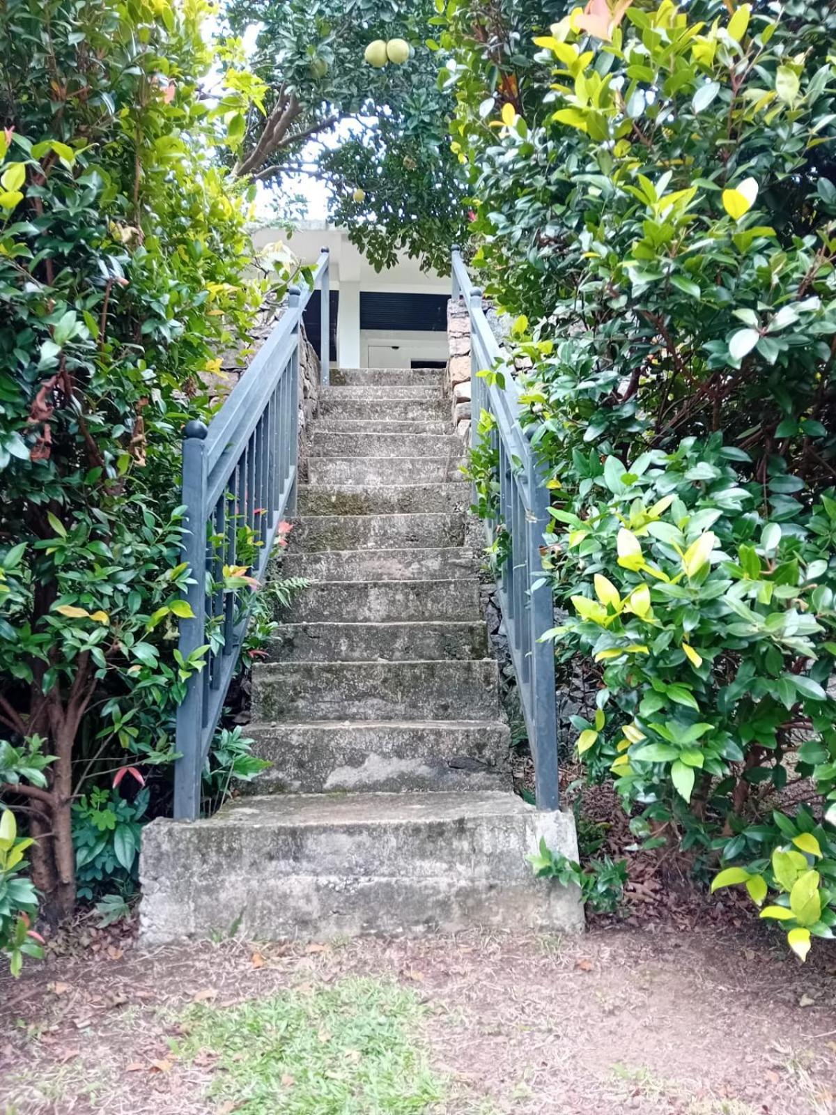 Knuckles Range Bunglow Homestay