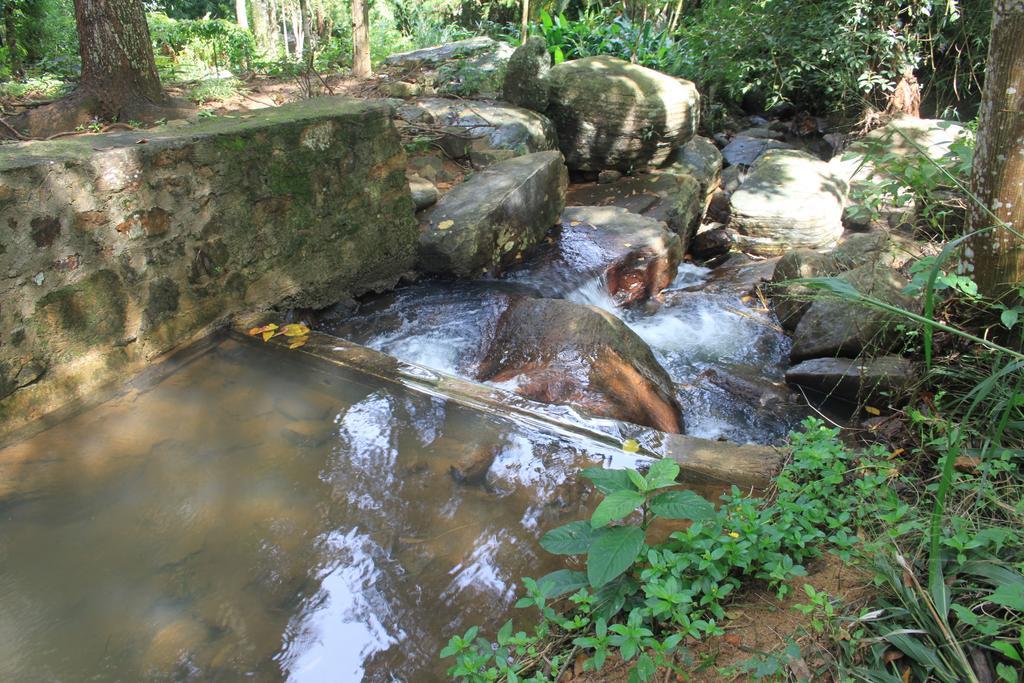 Jungle Tide 3*