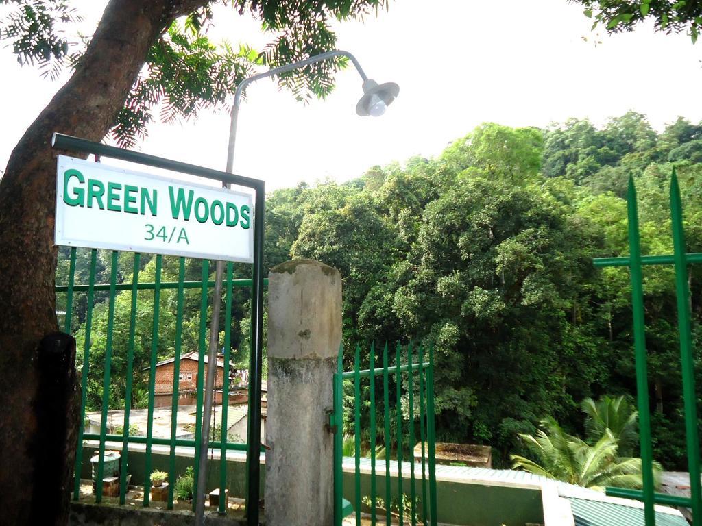 Woods Guest
