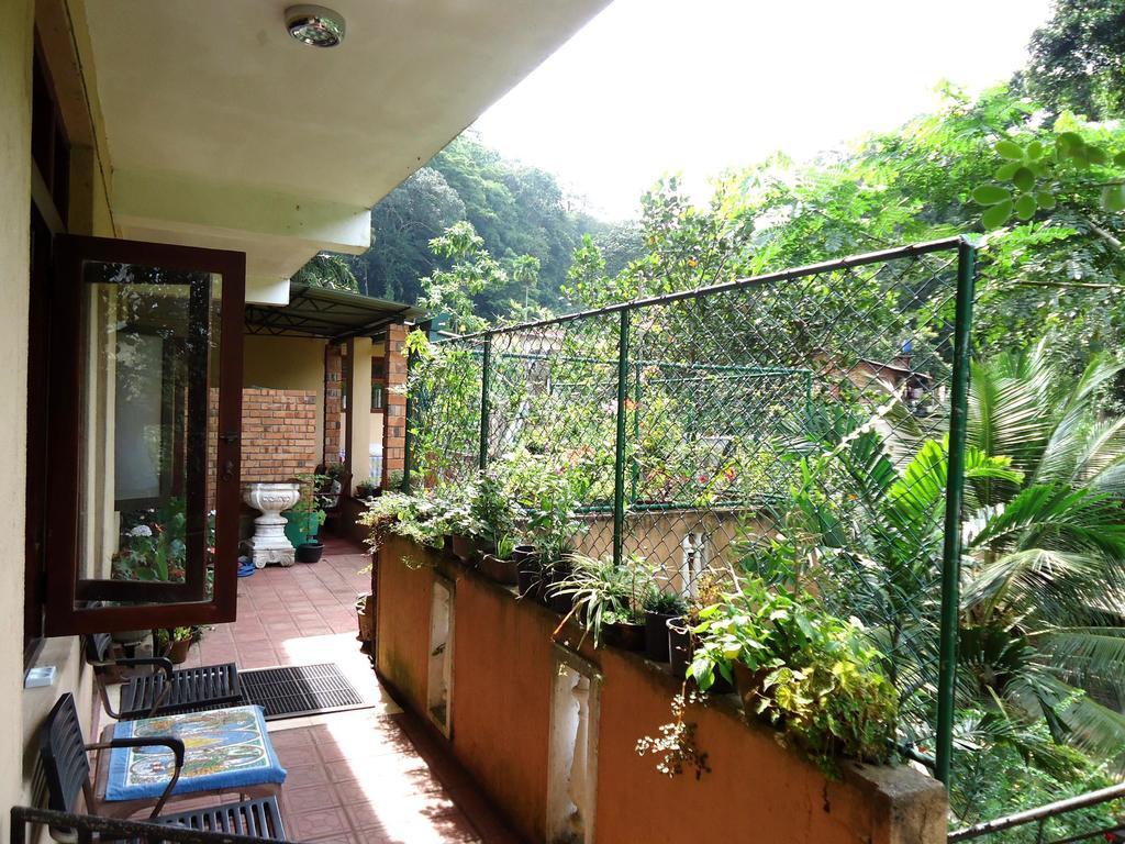 Homestay Woods Guest