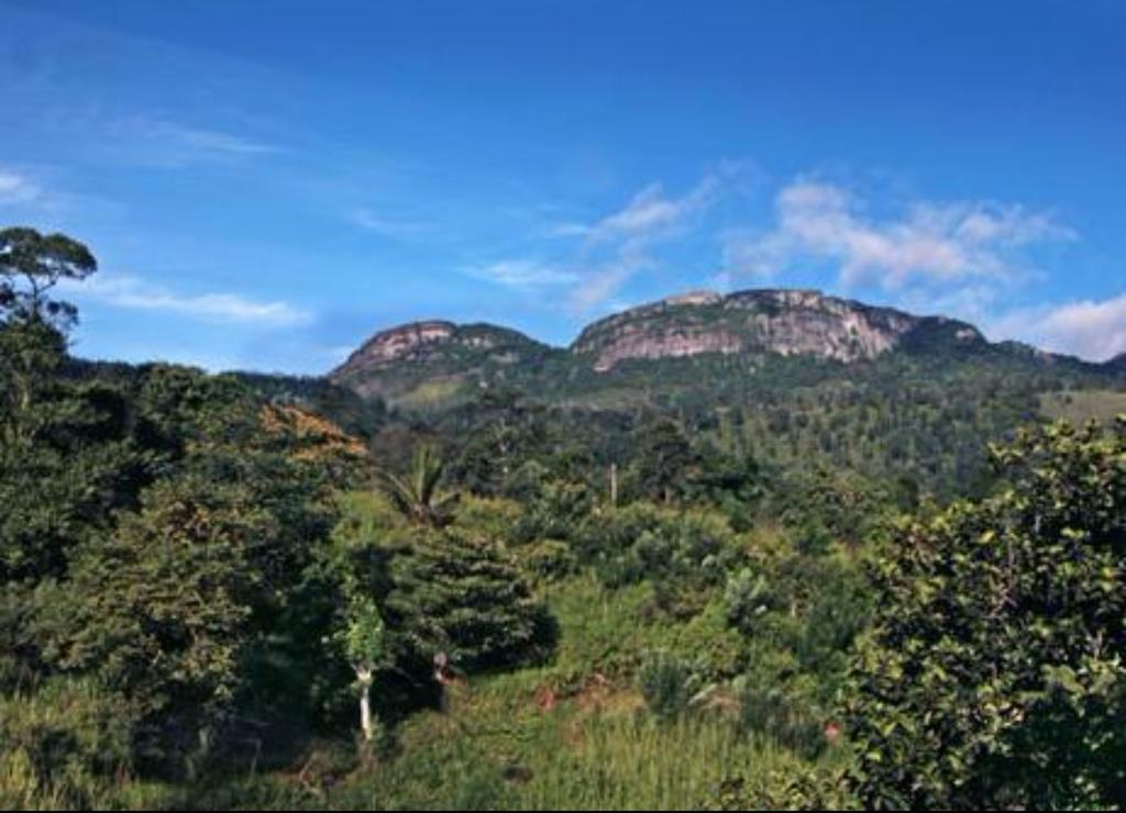 Dream Hanthana Bed & Breakfast Kandy