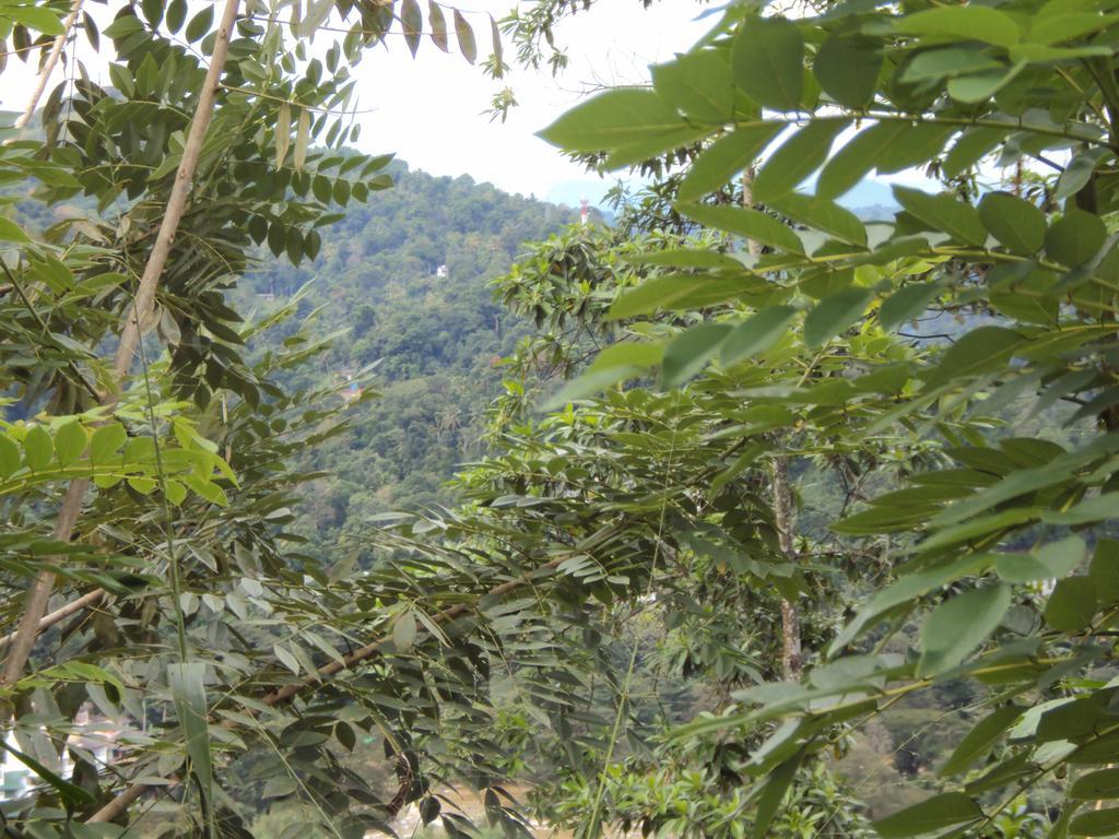 Araliya Homestay Kandy