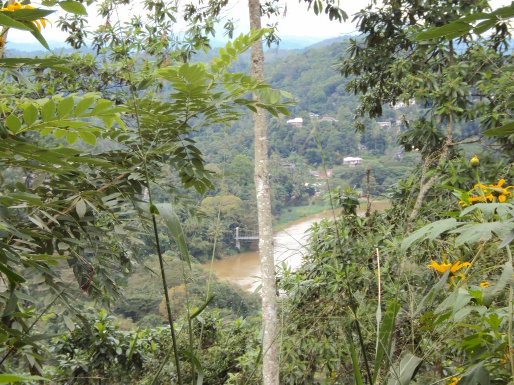Araliya Kandy