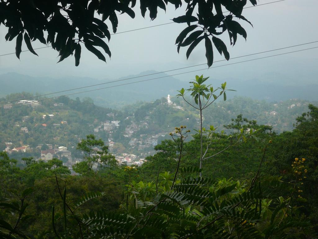 Hill