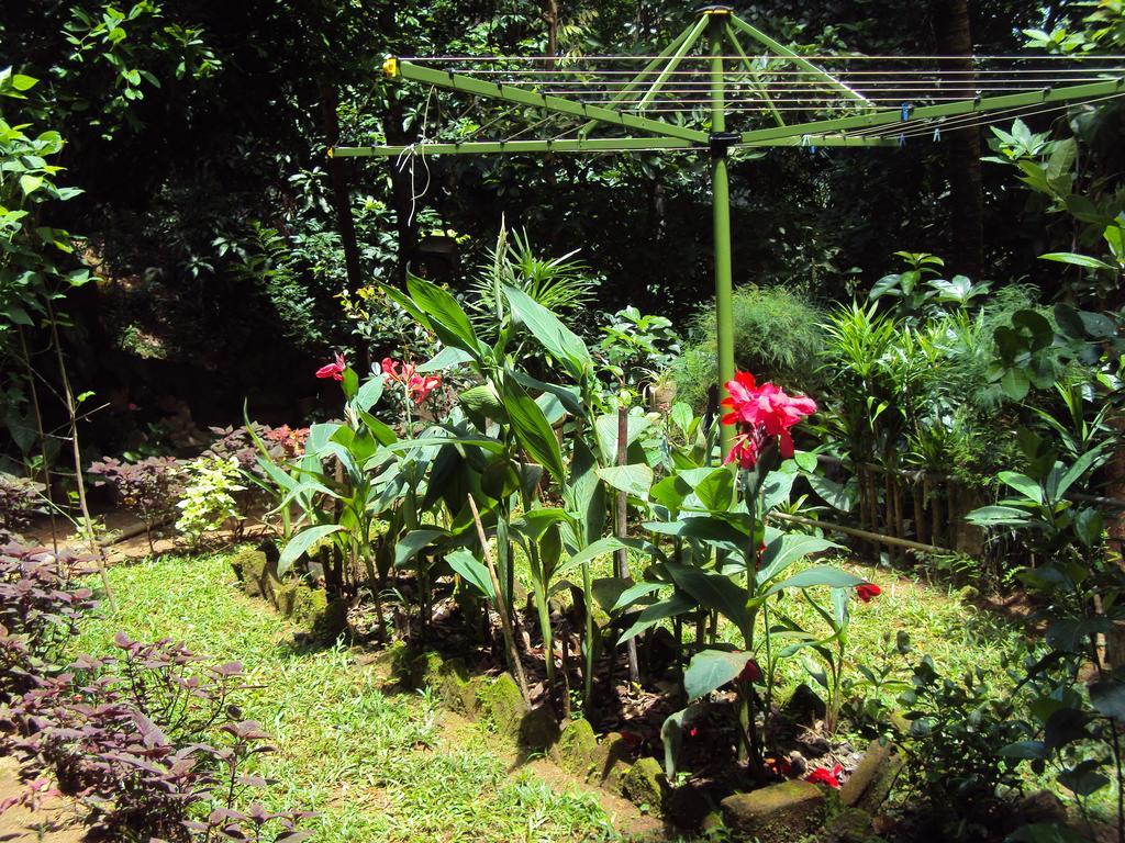 Homestay Araliya Kandy