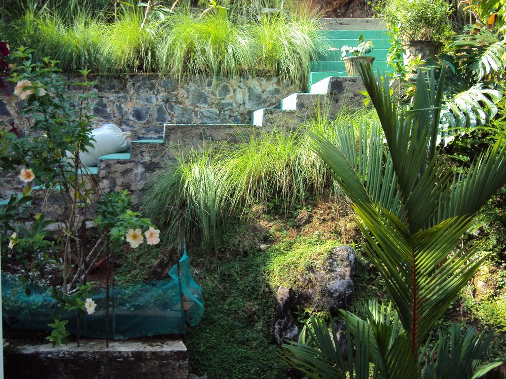 Araliya Homestay Kandy