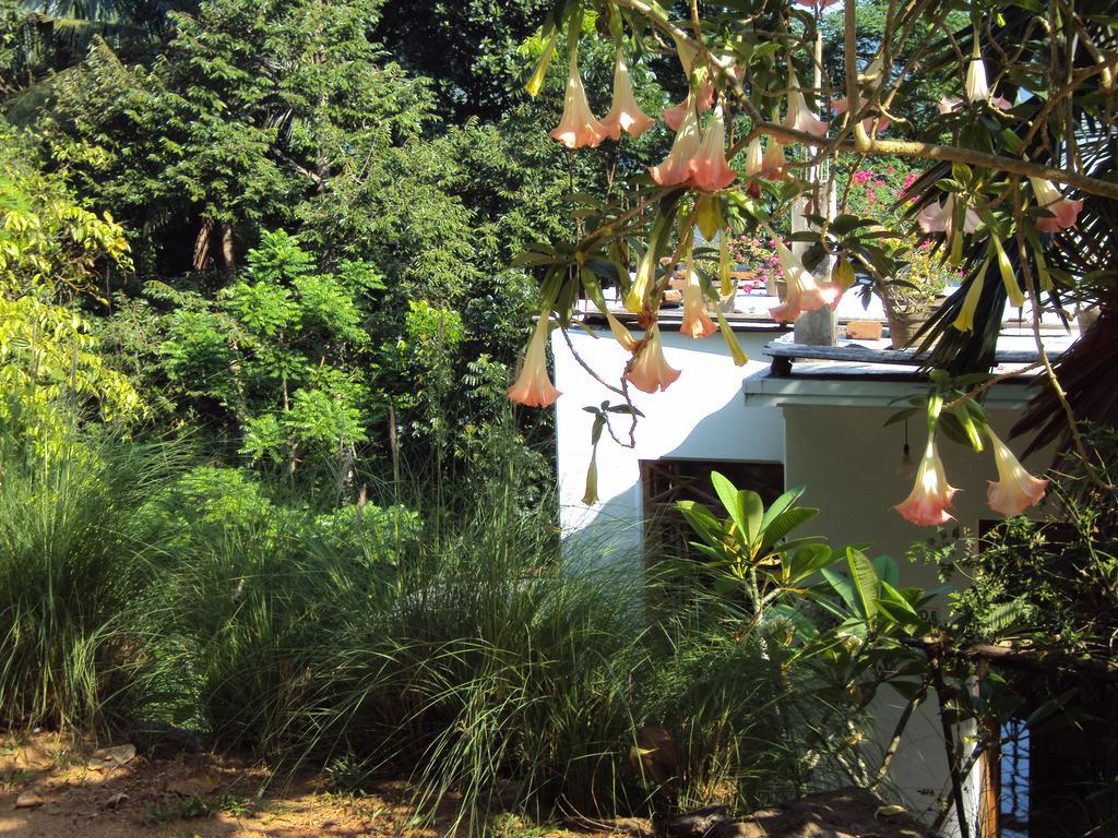 Homestay Araliya *