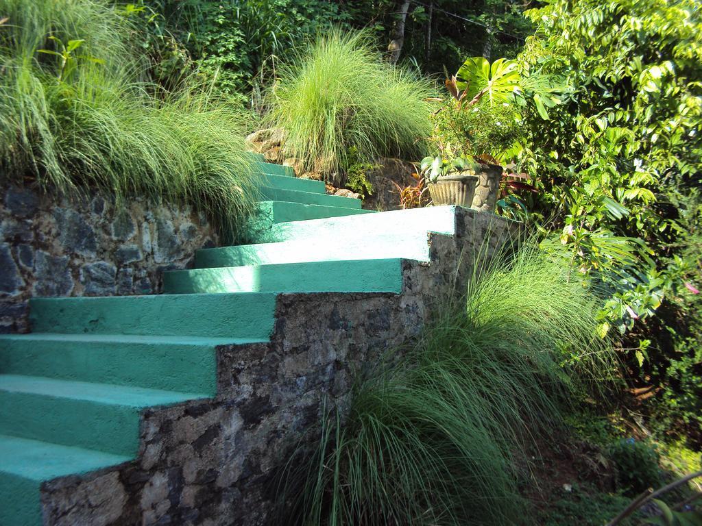 Araliya Homestay Kandy