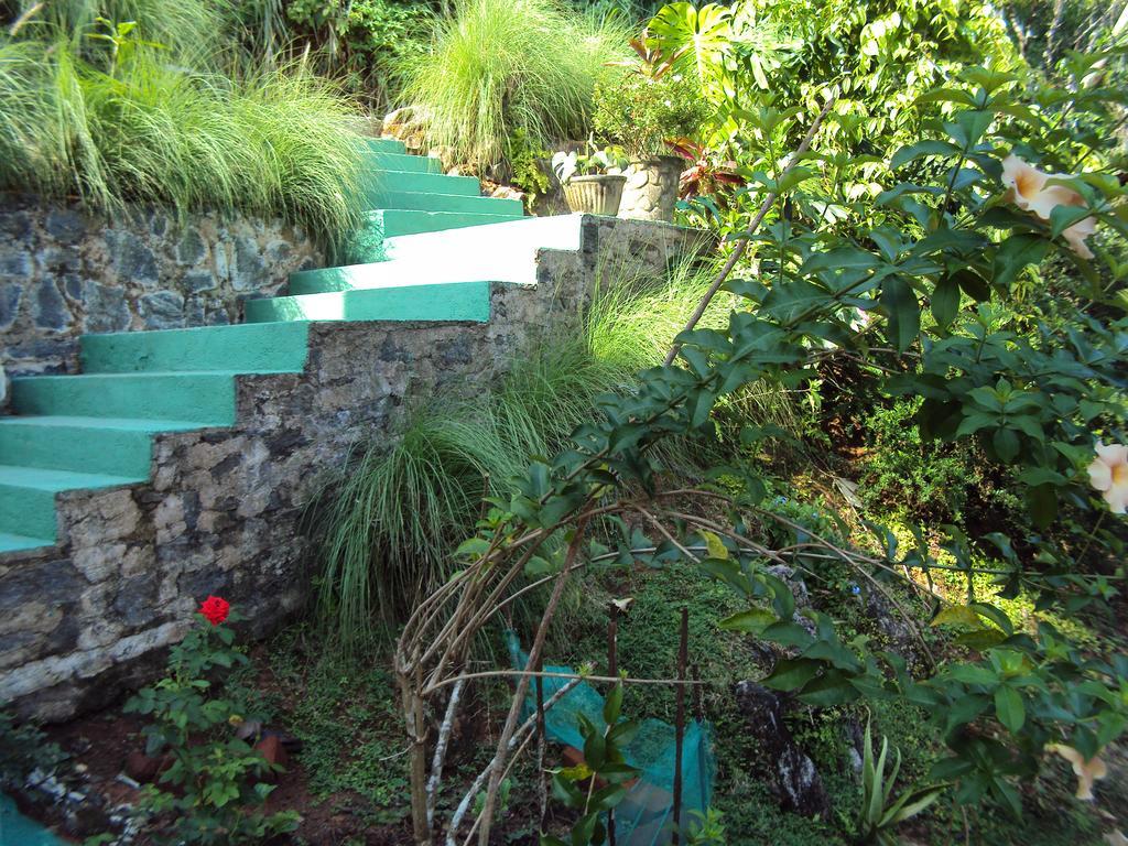 Araliya Homestay Kandy