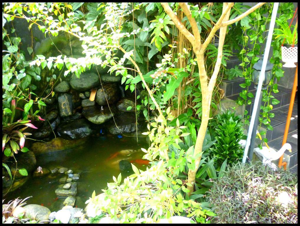 Homestay Danielsen Rest *