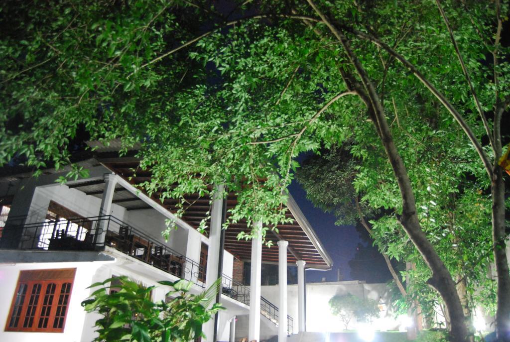 Bed & Breakfast Elephant Park 4*