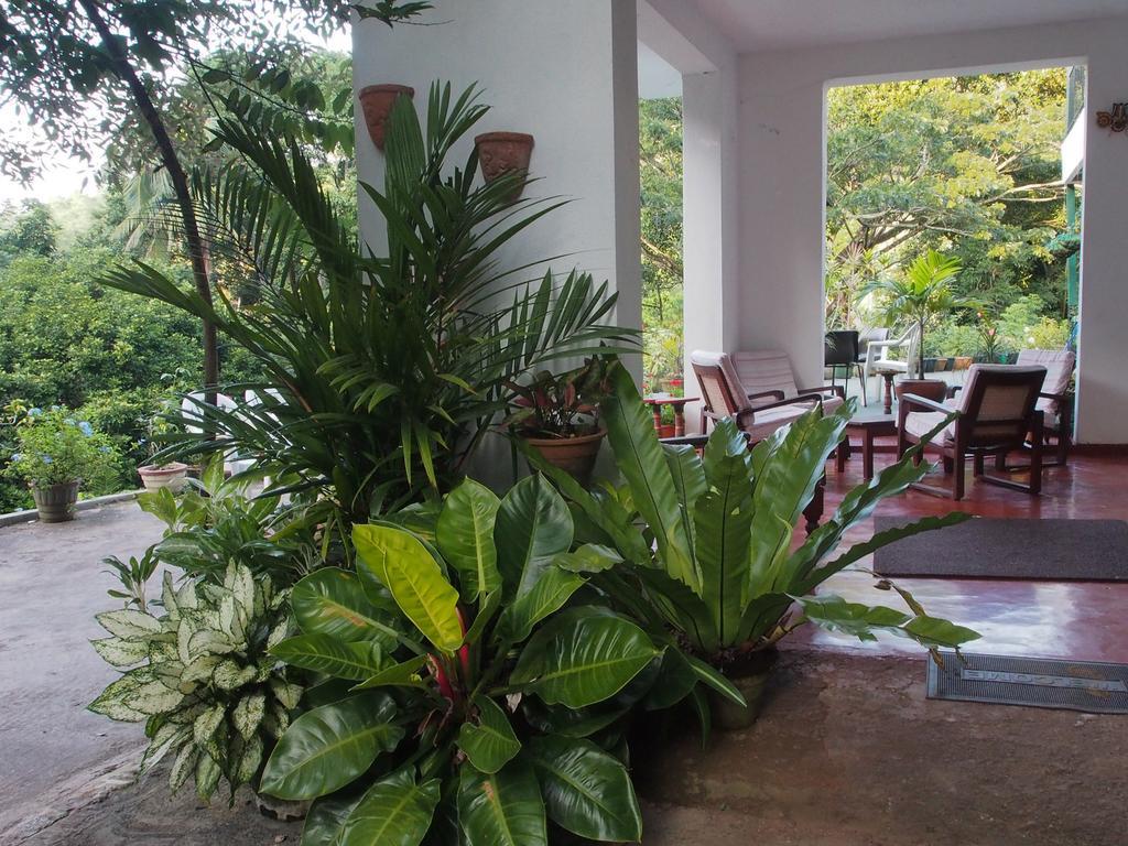 Forest Glen Kandy