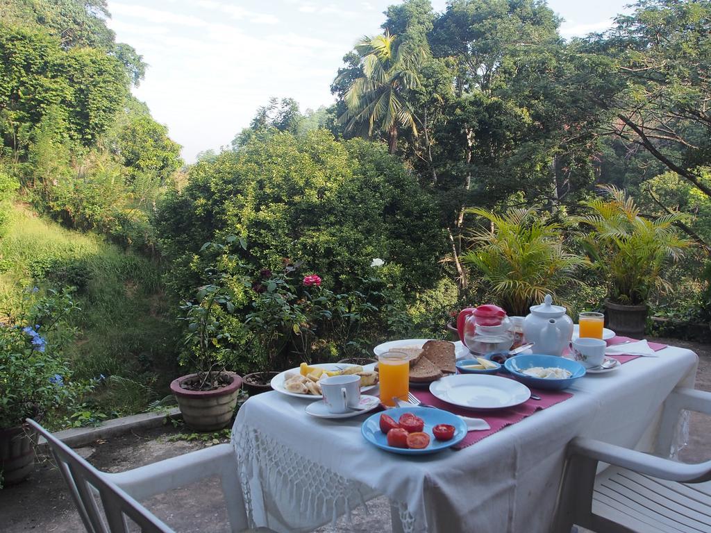 Homestay Forest Glen