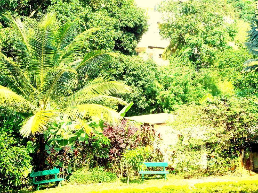 Oyo 433 Paradise