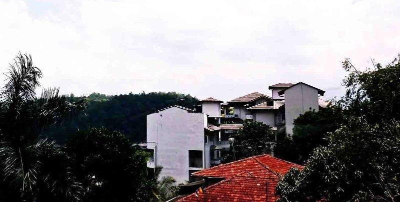 Apartment Forest *