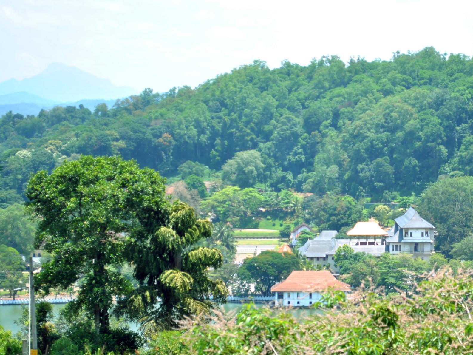 Serene Grand Villa