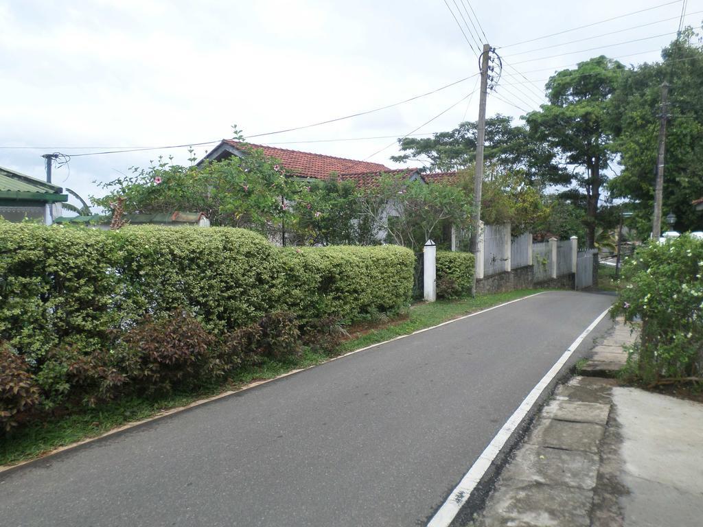 Guest house Primrose Hill Bunglow
