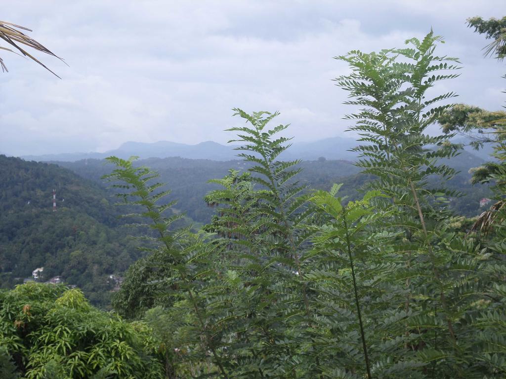 Primrose Hill Bunglow Kandy