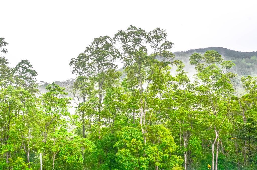 Homestay Hanthana Kandy
