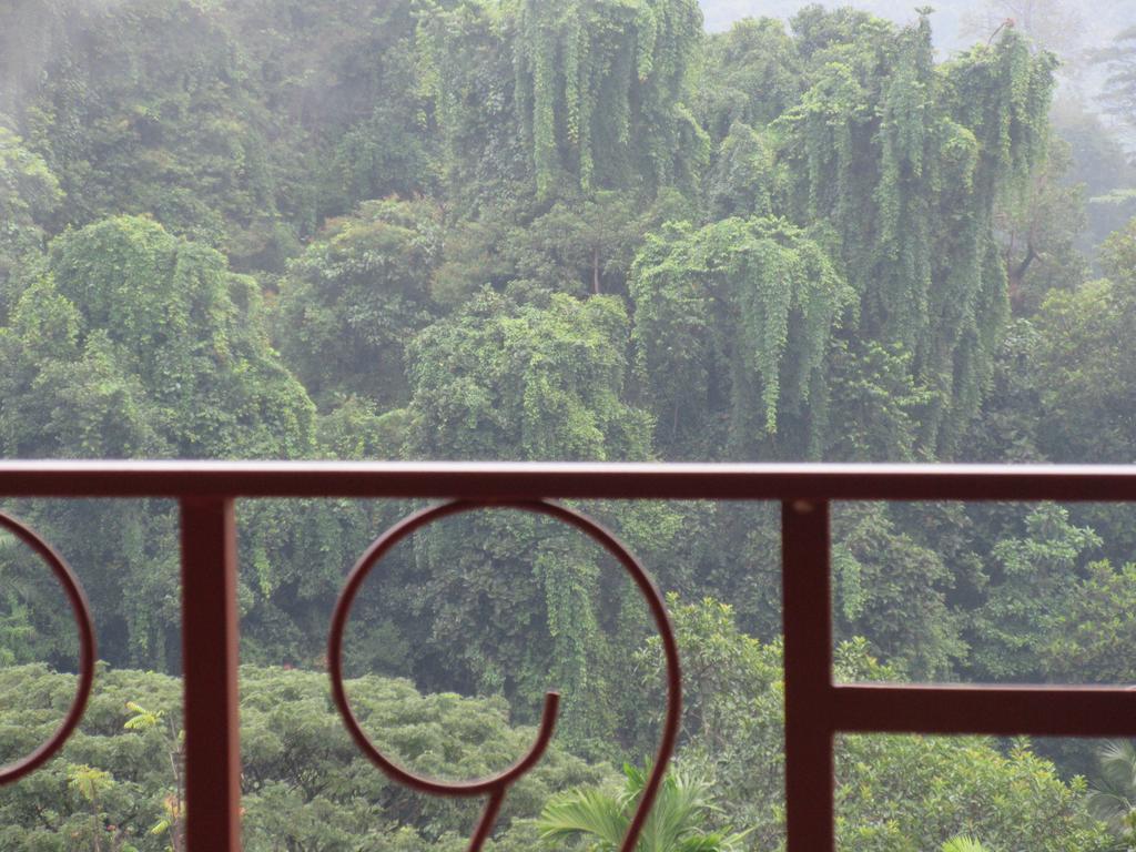 Nature Walk Kandy