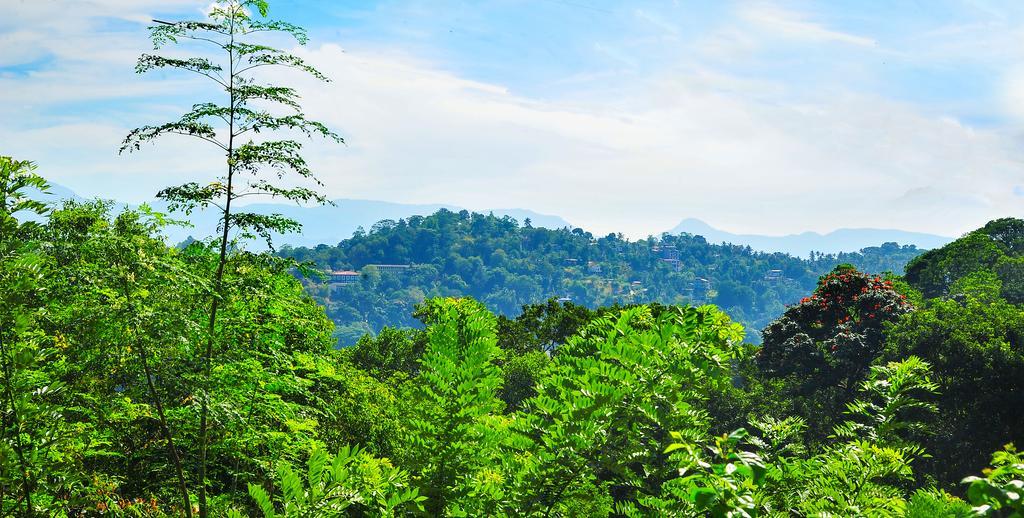 Hill Homestay Kandy