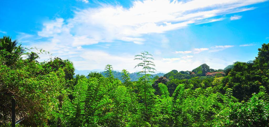 Hill Homestay