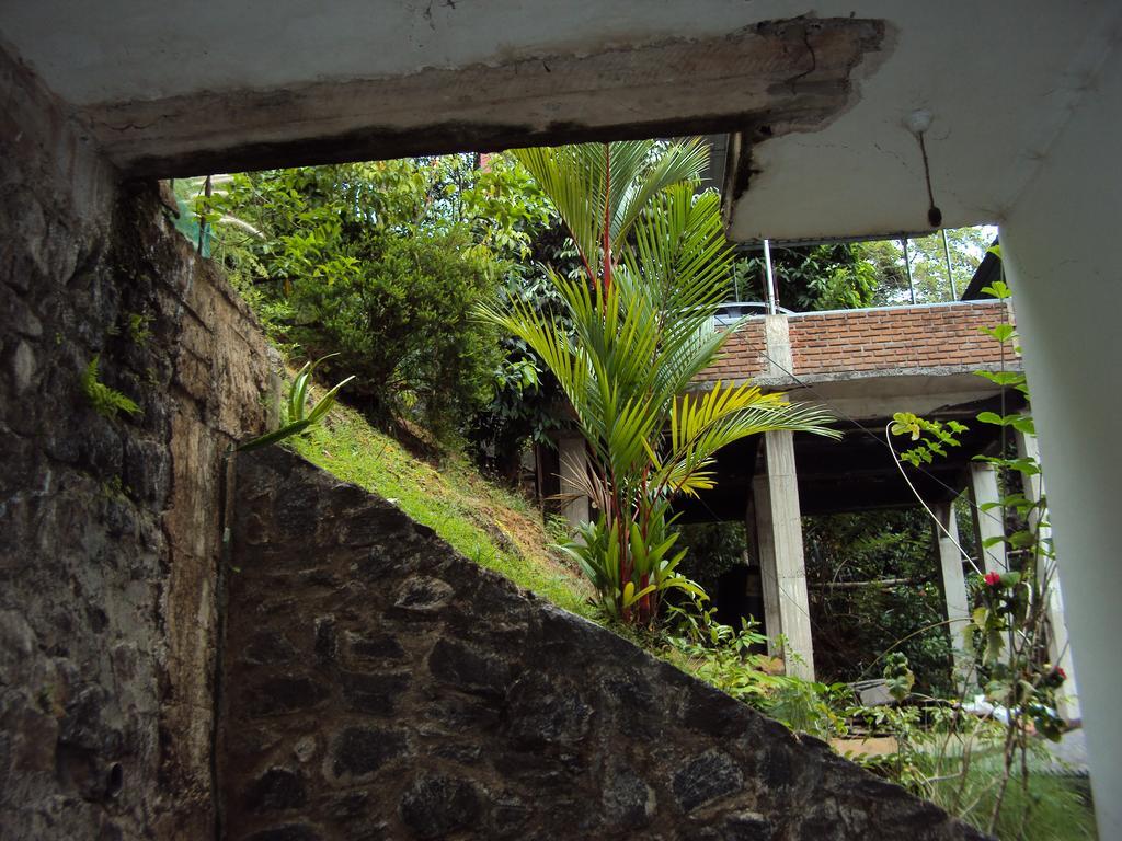 Araliya Homestay *