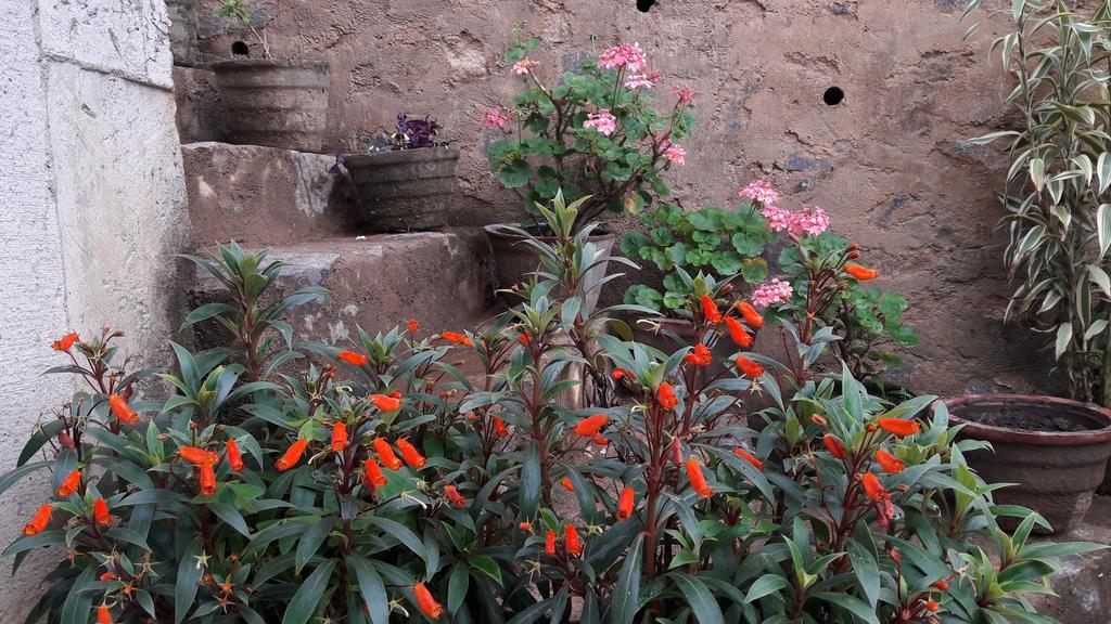 Yoho Cheliyan Bed & Breakfast