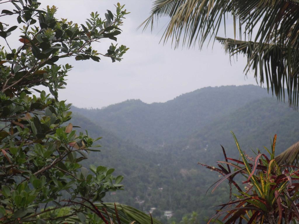 Primrose Hill Bunglow Kandy