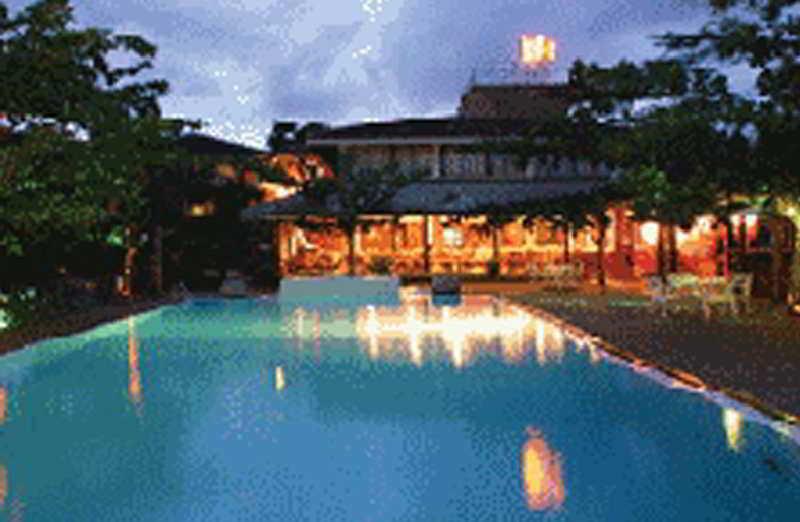Resort Tree Of Life Nature 5*