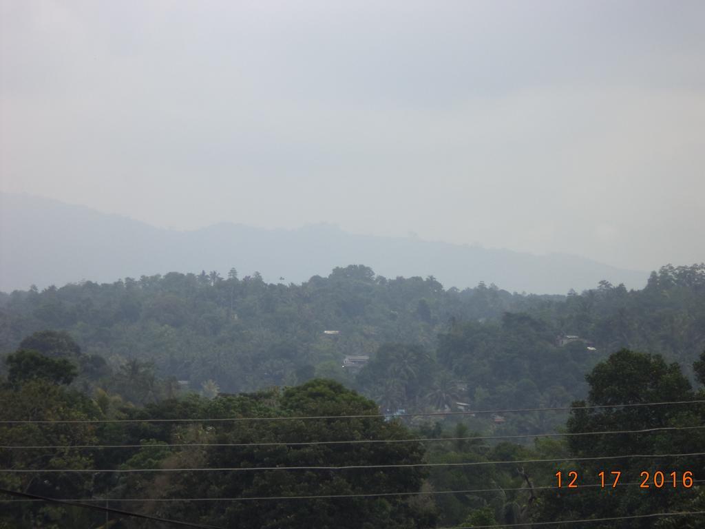Raja174 Homestay *