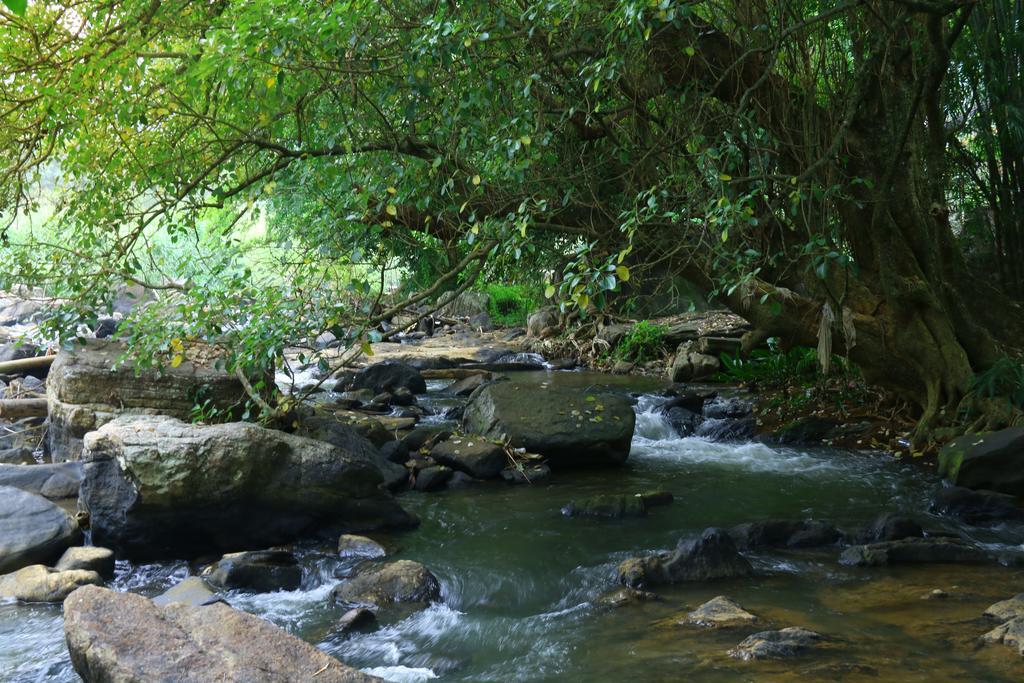 Nivahana Homestay Kandy