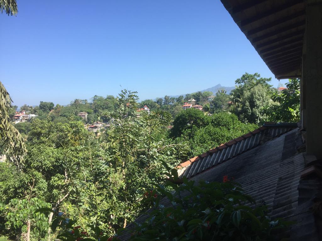 Birds Hill Homestay *