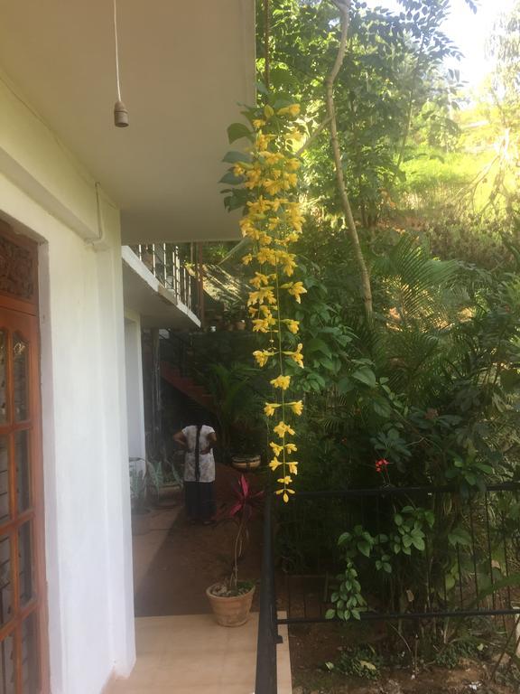 Birds Hill Homestay