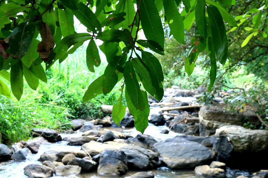 Nivahana Homestay *