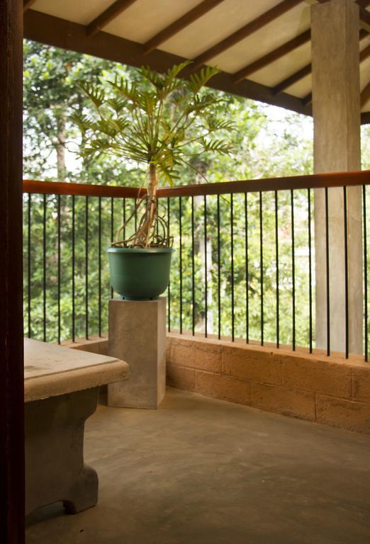 The Cherry Tree Homestay *