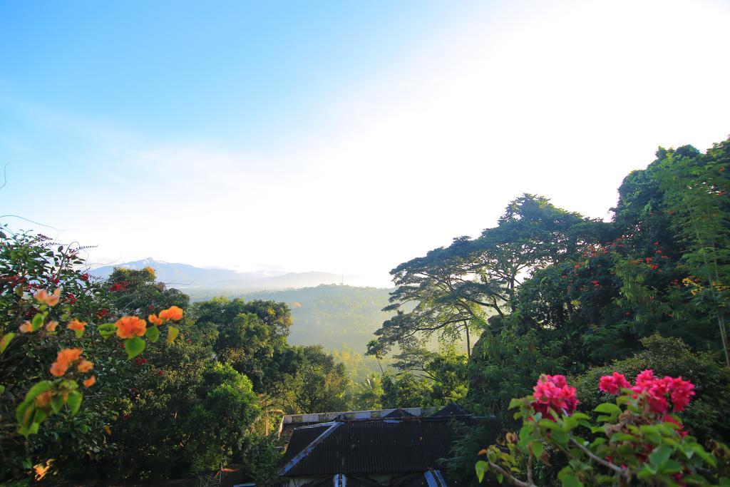 Mahaweli Regent Guest house 3*
