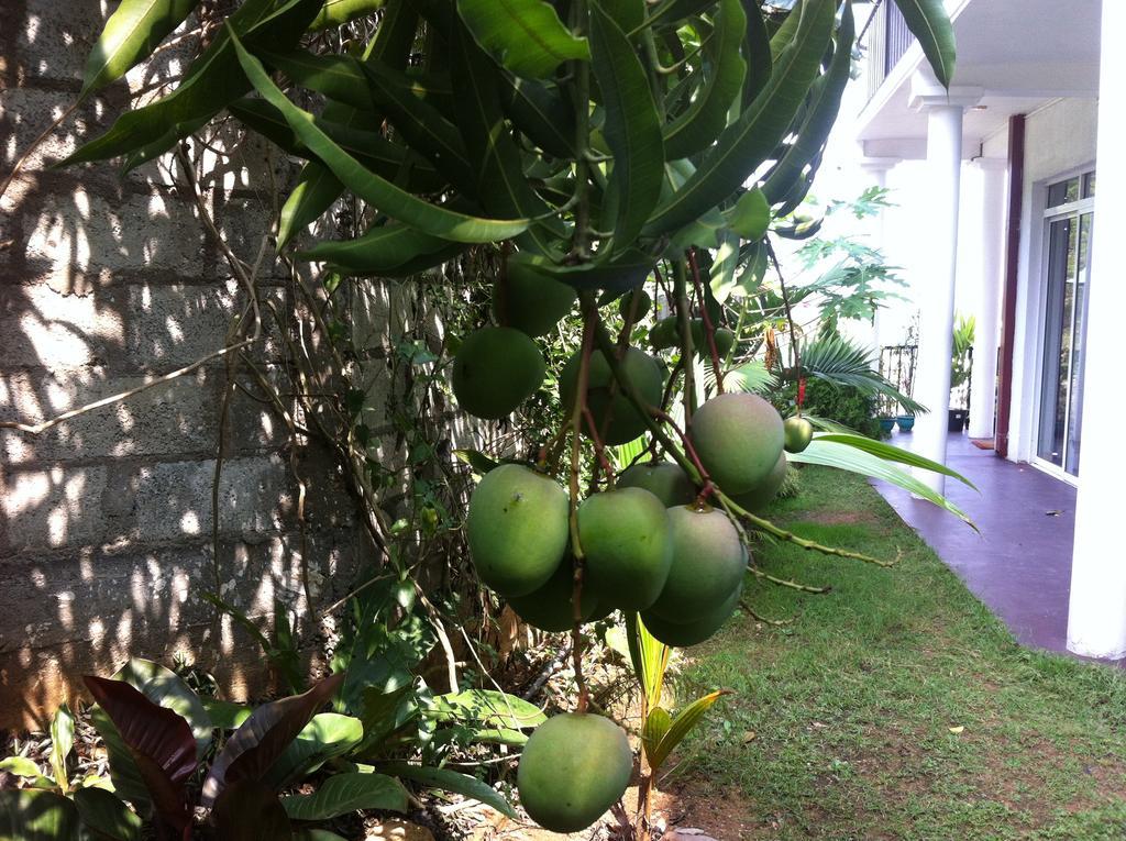 Arunalu Guest house Kandy