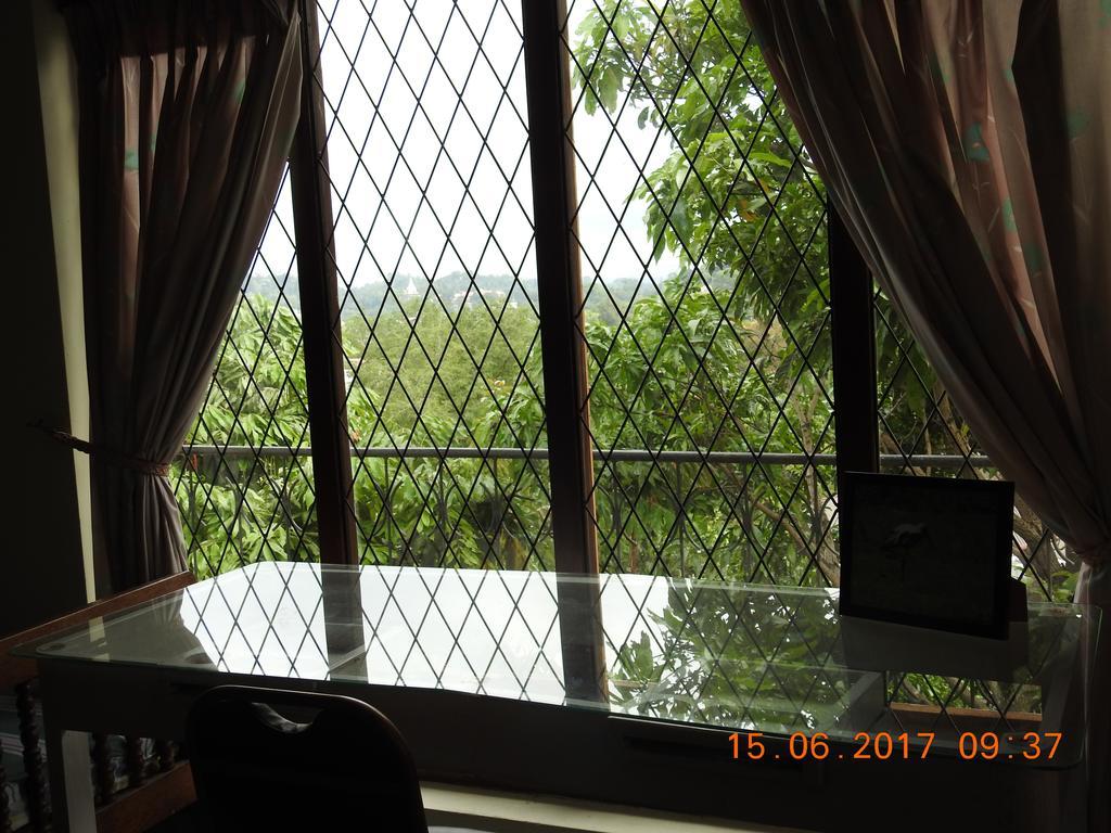 Serenity Homestay *
